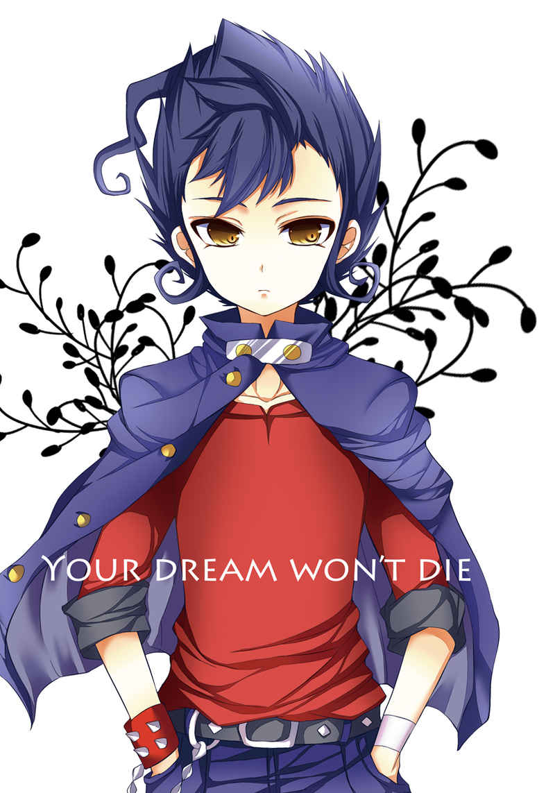 YOUR DREAM WON`T DIE [ぴくちる(丸汰)] イナズマイレブン