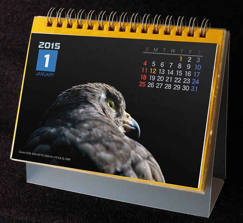 2015年 BIRD カレンダー [神珠館(りんごろう)] その他