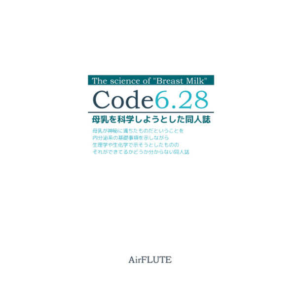 Code6.28 [ＡｉｒＦＬＵＴＥ(NANAME)] 評論・研究