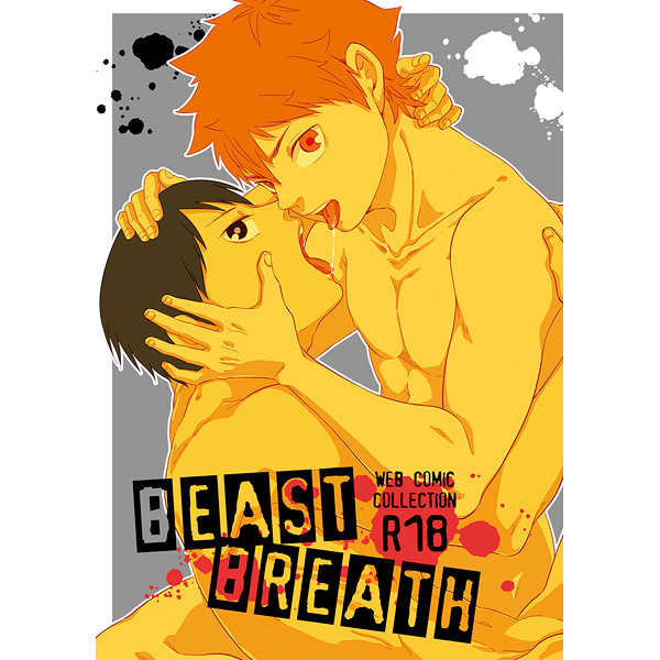 BEAST BREATH [Parade(磯谷かし)] ハイキュー!!