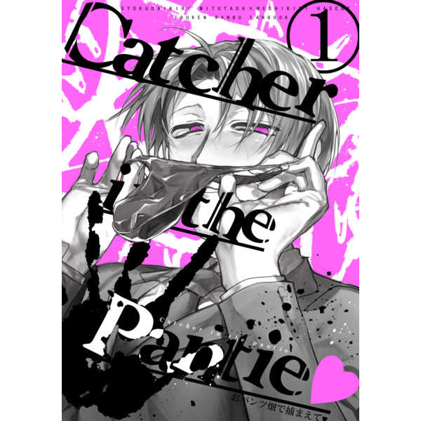 Catcher in the Pantie [双色(akinuko)] 刀剣乱舞