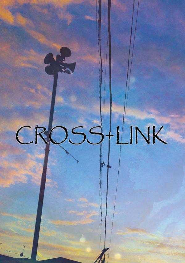 CROSS+LINK [SoMuchTrouble(辻原)] 名探偵コナン