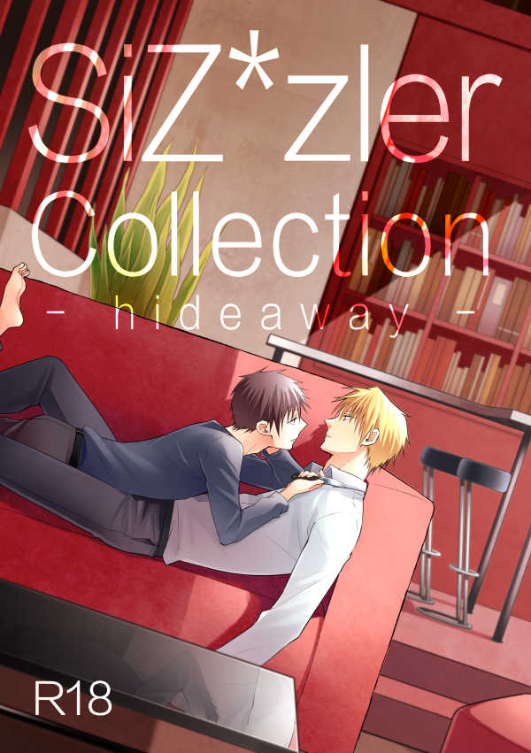 SiZ*zler Collection hideaway [SiZ＊zler(ユキシロ)] デュラララ!!