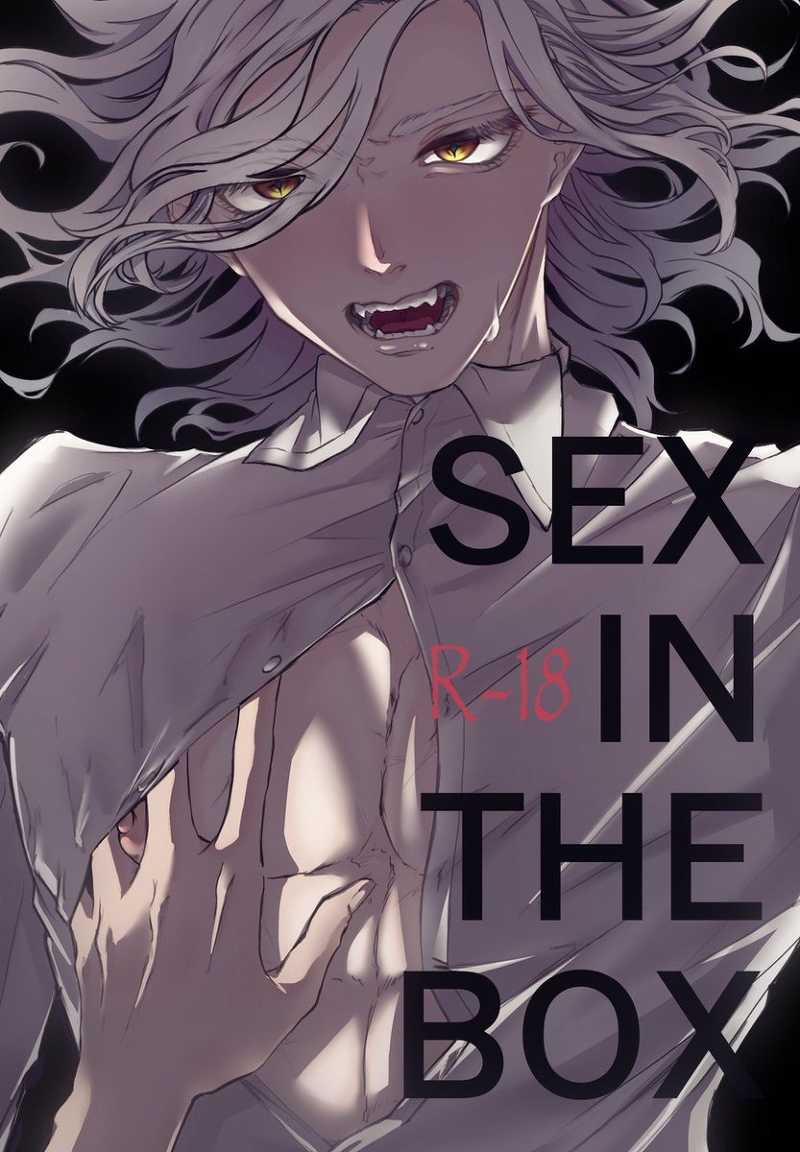 SEX IN THE BOX [(興奮)(わあ)] Fate/Grand Order