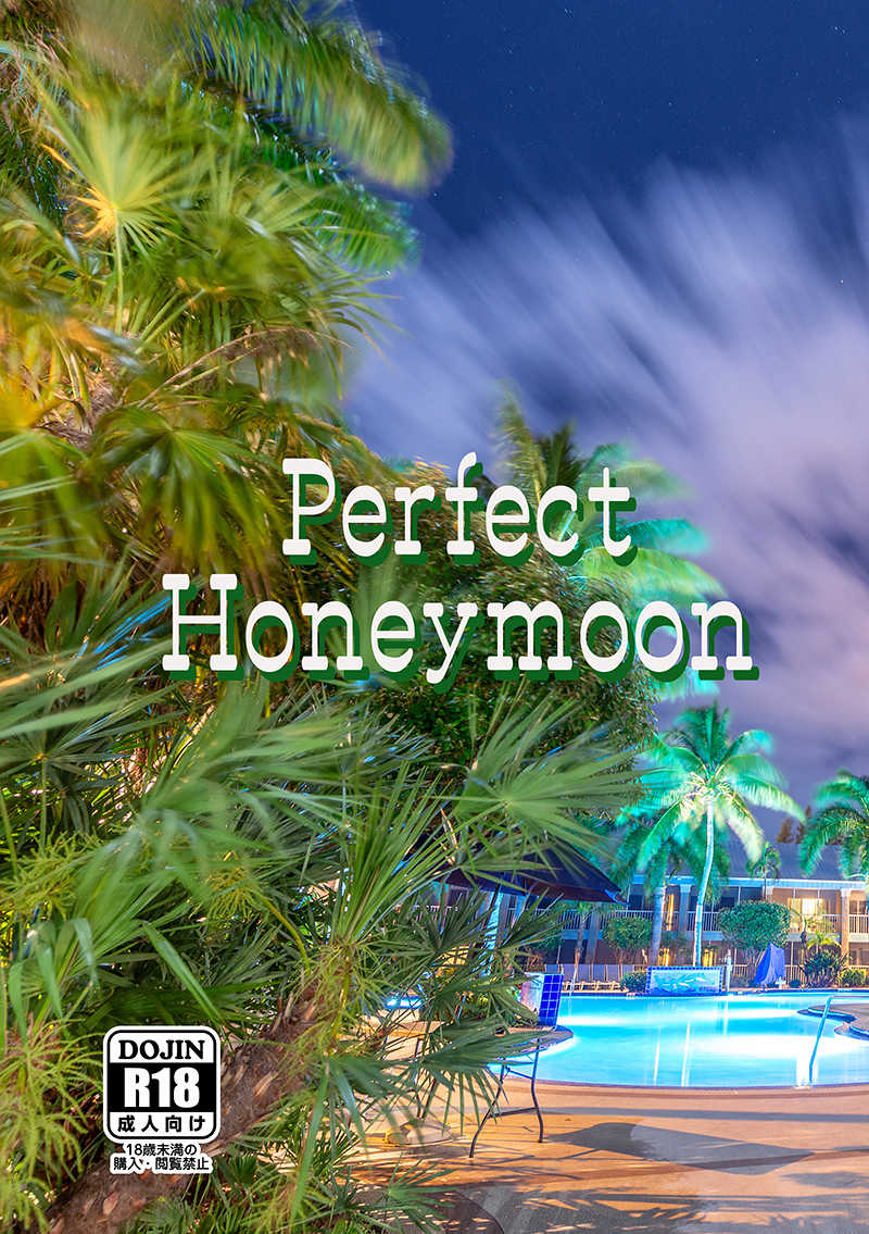 Perfect Honeymoon [NORSTLILIA(野々川ユマ)] 僕のヒーローアカデミア