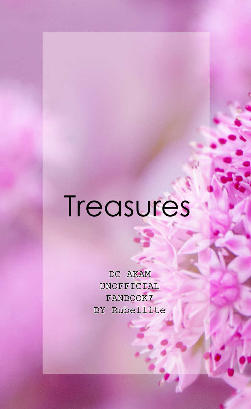 Treasures [Rubellite(璃音)] 名探偵コナン