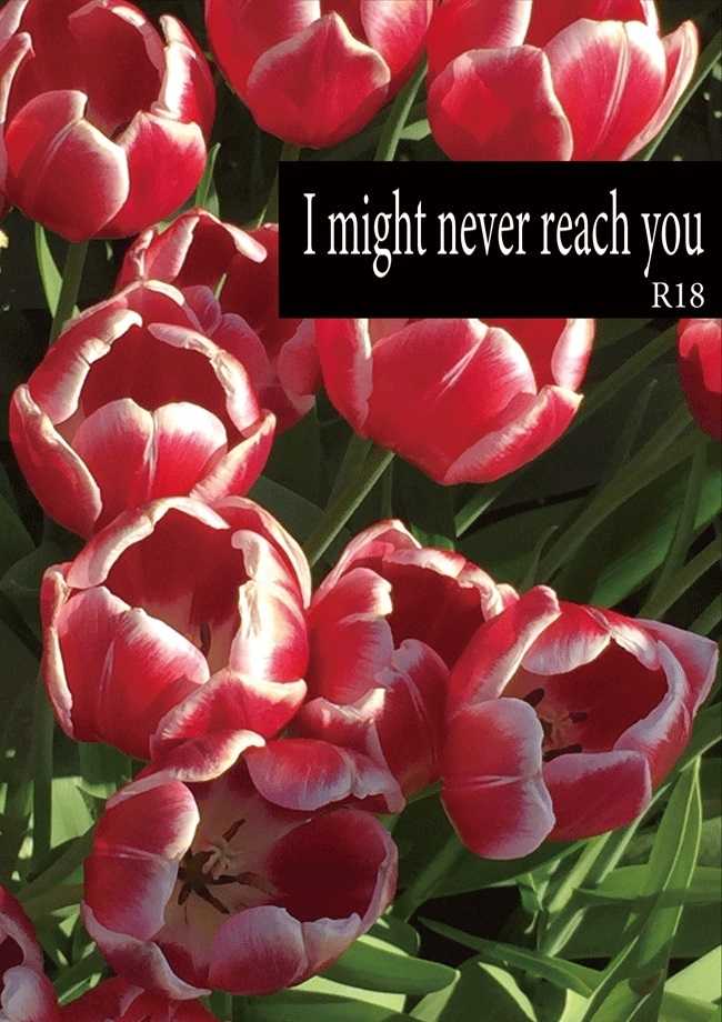 I might never reach you [カシスブルー(北村)] 血界戦線