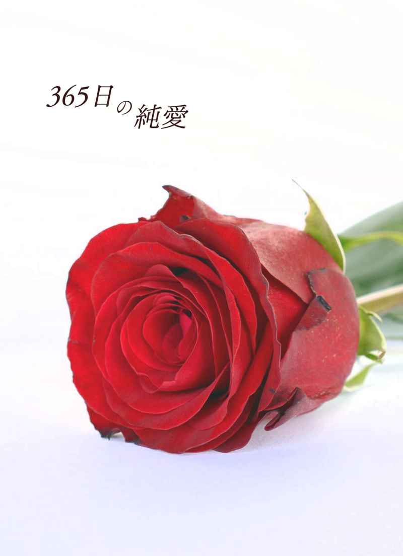 365日の純愛 [praline(lily)] グランブルーファンタジー