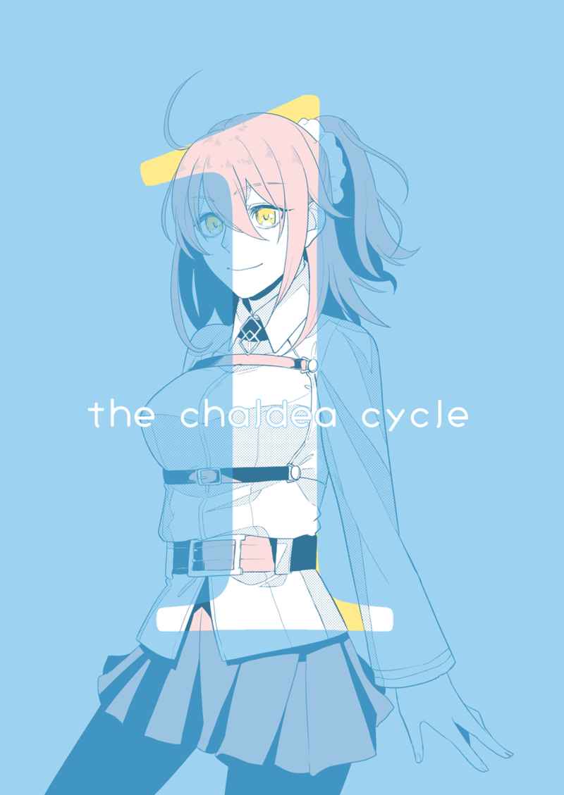 the chaldea cycle [アクリルホーン(やそいち)] Fate/Grand Order