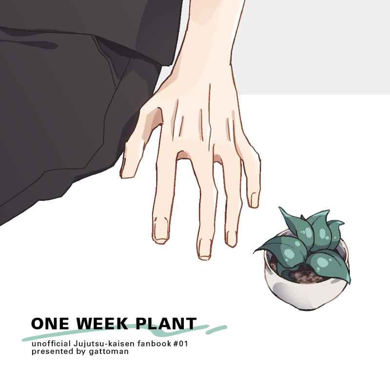 ONE WEEK PLANT [GATTOMAN(くらせ)] 呪術廻戦