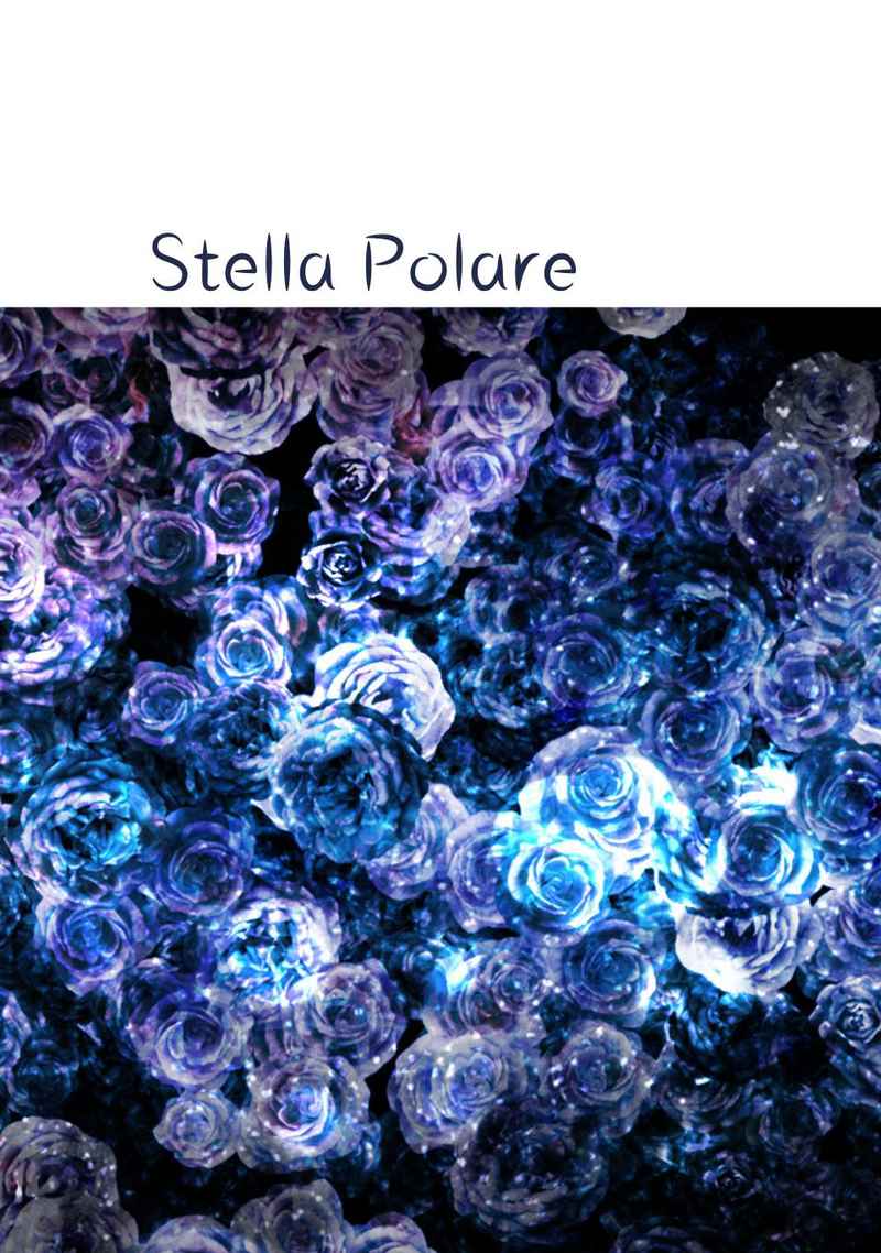 Stella Polare [凍結スイート(只野広子)] SK∞ エスケーエイト