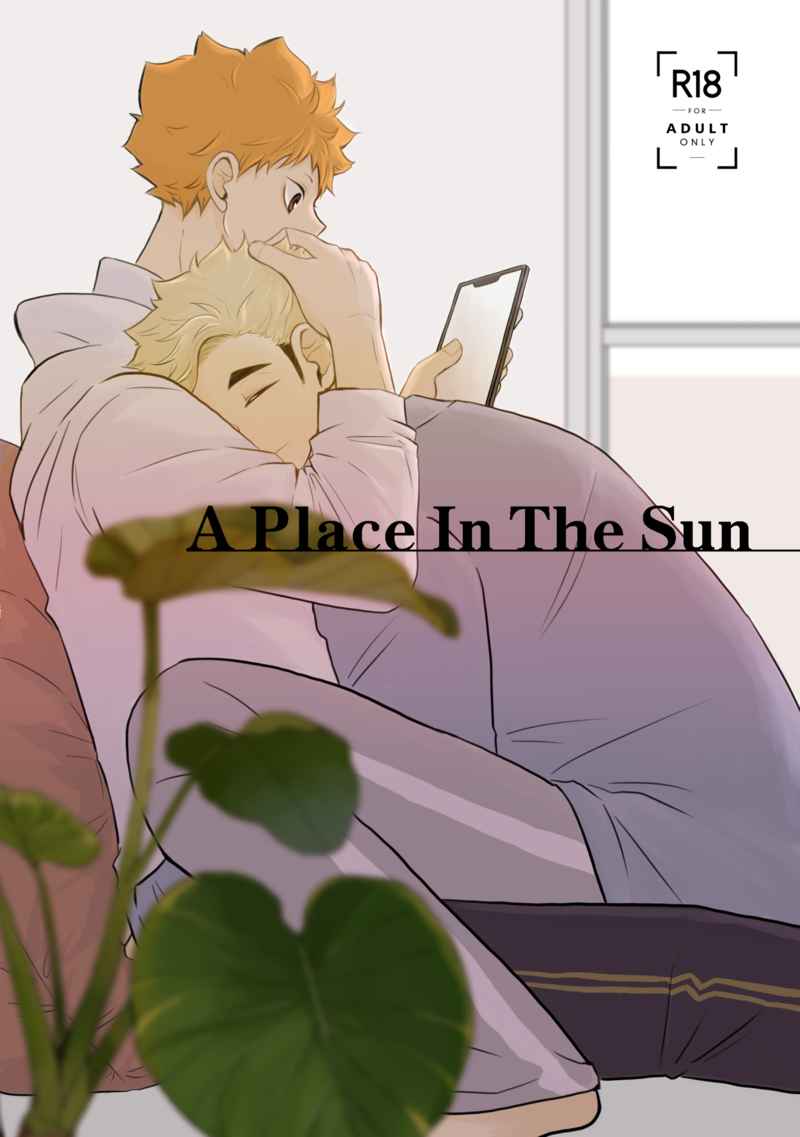 A Place In The Sun [炭焼部屋(真依)] ハイキュー!!