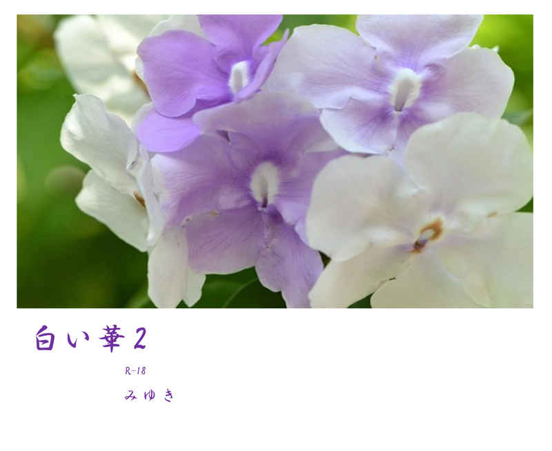 白い華2 [LAST　JOKER(みゆき)] ツルネ ―風舞高校弓道部―
