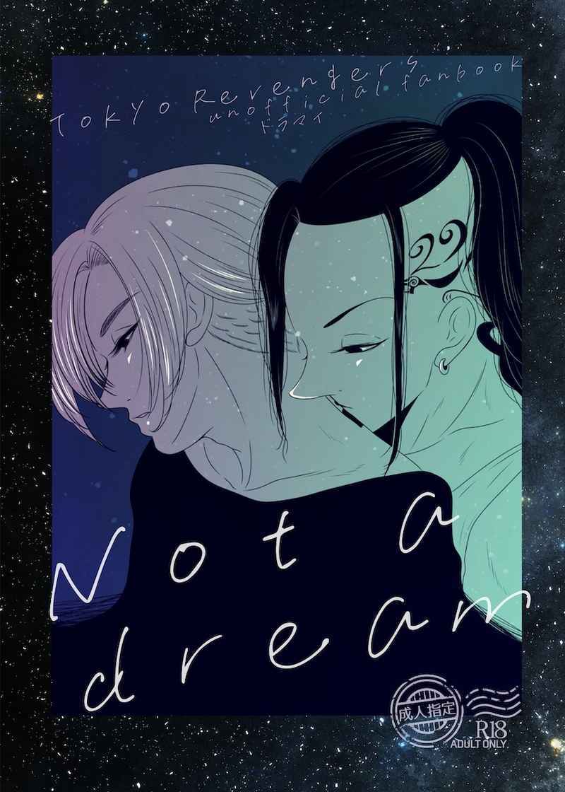 Not a dream [pinkblood(ゆきたそ)] 東京卍リベンジャーズ