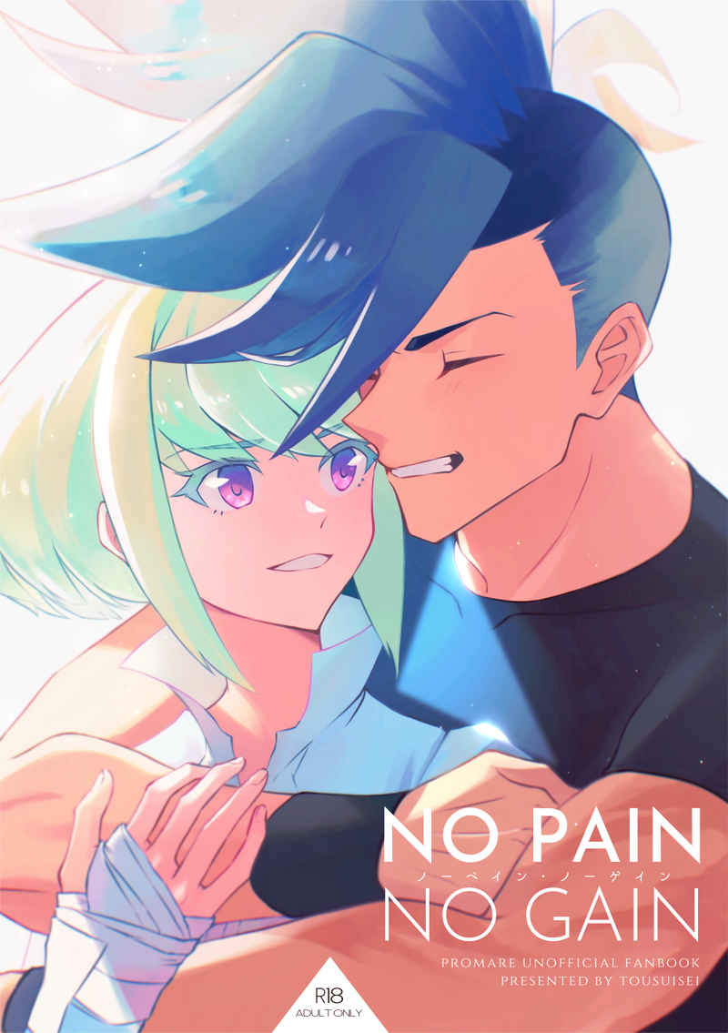 NO PAIN NO GAIN [透水性(そむき)] プロメア