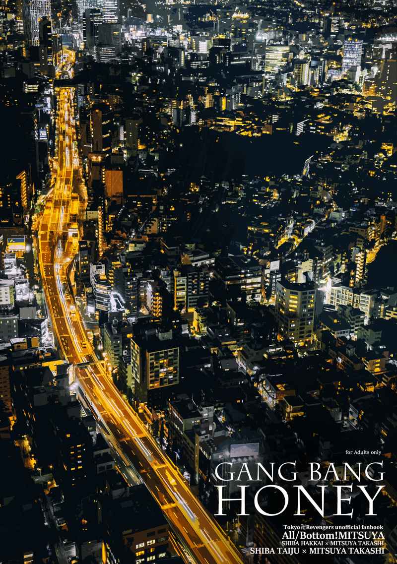 GANG BANG HONEY [Lincoln(ﾕﾒｺ)] 東京卍リベンジャーズ