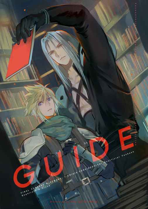 GUIDE [AFTER HORSE(ぬん)] ファイナルファンタジー