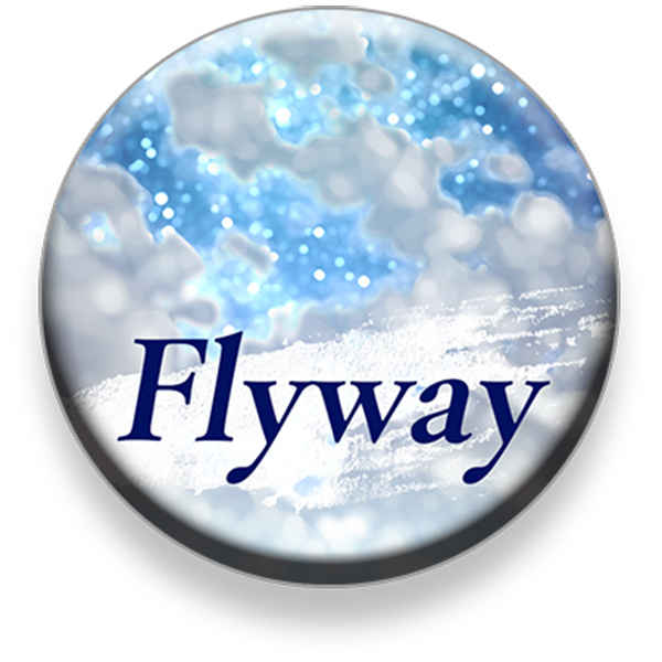 『Flyway』缶バッジ タイトル ver. [halyosy(halyosy)] 歌ってみた