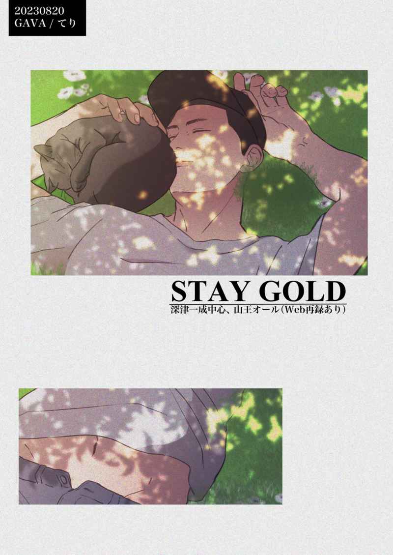 STAY GOLD [GAVA(てり)] スラムダンク
