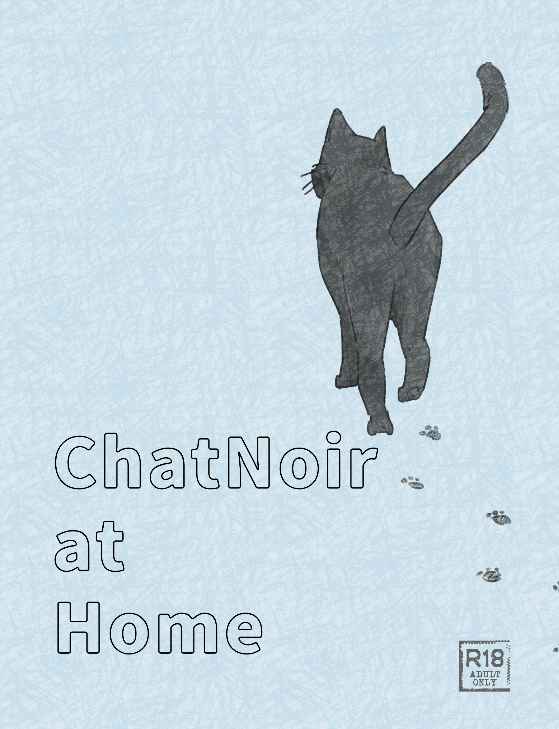 ChatNoir at Home [carmine(ハルコマ)] スーパードクターKシリーズ