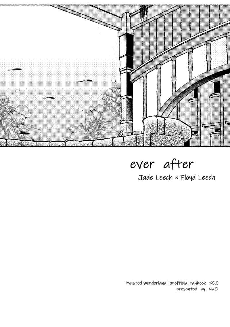 ever after [NaCl(そると)] その他