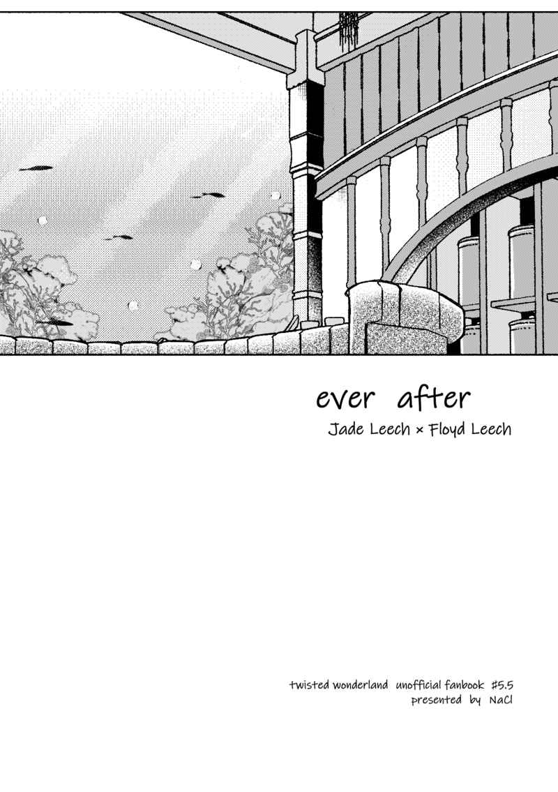 ever after【オマケ無し】 [NaCl(そると)] その他