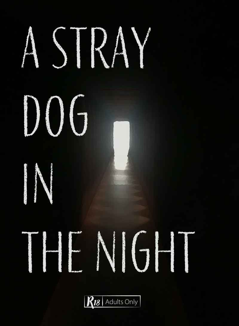A Stray Dog in the Night [心地よい沼(カヅキ)] スラムダンク