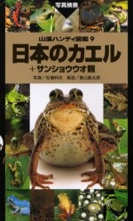 日本のカエル +サンショウウオ類