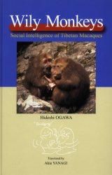 Wily Monkeys Social Intelligence of Tibetan Macaques