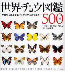 世界チョウ図鑑500種 華麗なる変身を遂げるチョウ