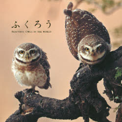 ふくろう BEAUTIFUL OWLS IN THE WORLD