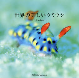 世界の美しいウミウシ Sea slugs