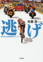 逃げ 2014年全日本選手権ロードレース