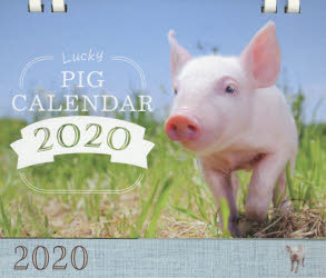 '20 Lucky PIG CALEND