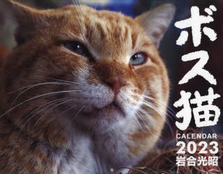 '23 ボス猫カレンダー