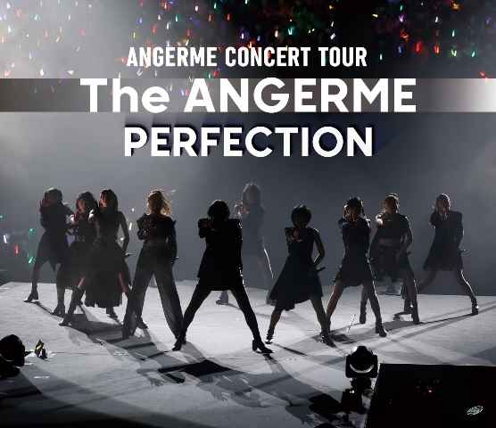 (BD)アンジュルム CONCERT TOUR -The ANGERME- PERFECTION
