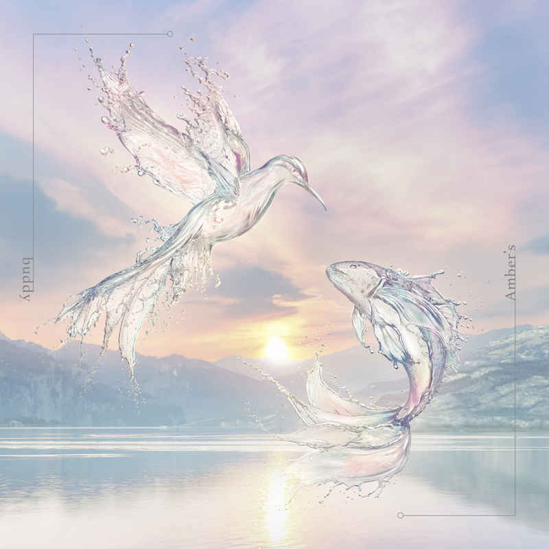 (CD)「齢5000年の草食ドラゴン、いわれなき邪竜認定」エンディングテーマ buddy (初回生産限定盤)/Amber’s