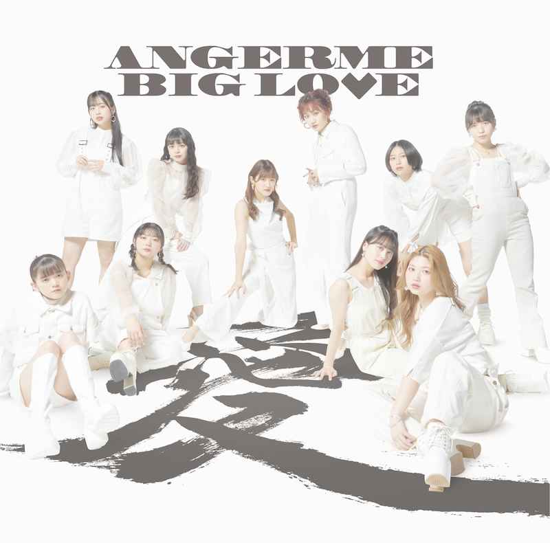 (CD)BIG LOVE(通常盤)/アンジュルム