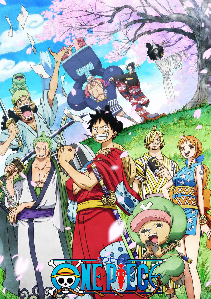 (BD)ONE PIECE ワンピース 20THシーズン ワノ国編 piece.43