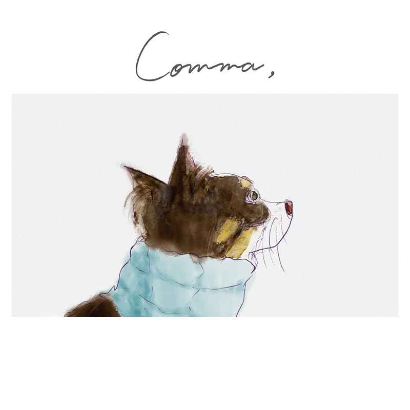 (CD)Comma(おやすみ盤)/佐々木恵梨
